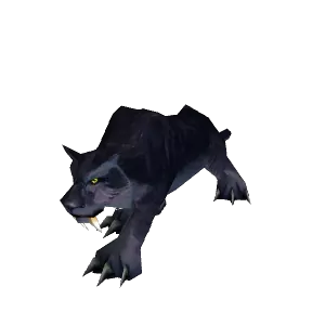 Young Panther