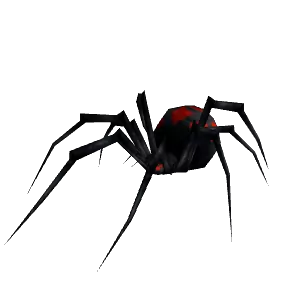 Night Web Spider