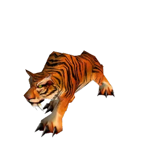 Stranglethorn Tiger