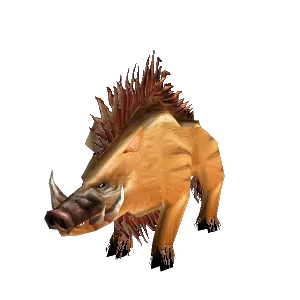 Mesa Boar