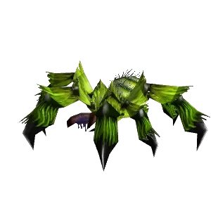 Webwood Spider